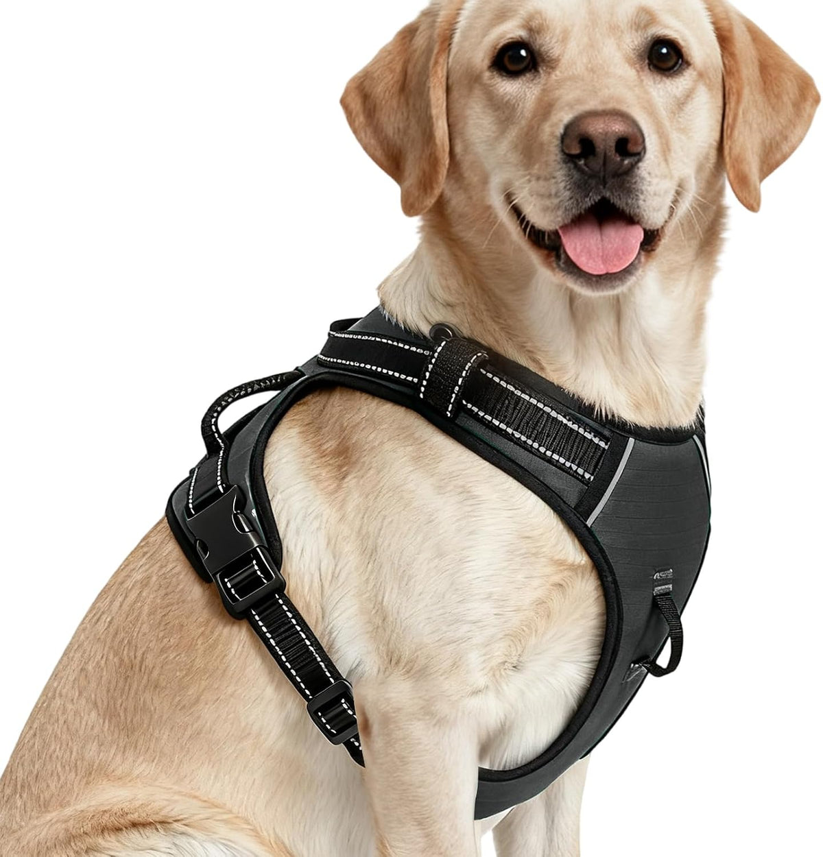 No Pull Dog Harness, No Chock Reflective Adjustable Soft Padded Pet Vest with Easy Control Handle, Easy Wearing with Stylish, Reinforced Knot, 2 Buckles - Image 14