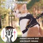 Kitten wearing hot pink Kodervo escape proof harness
