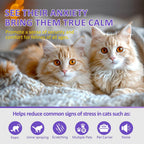 Two plug-in diffuser units with four forty-eight milliliter calming pheromone refills.