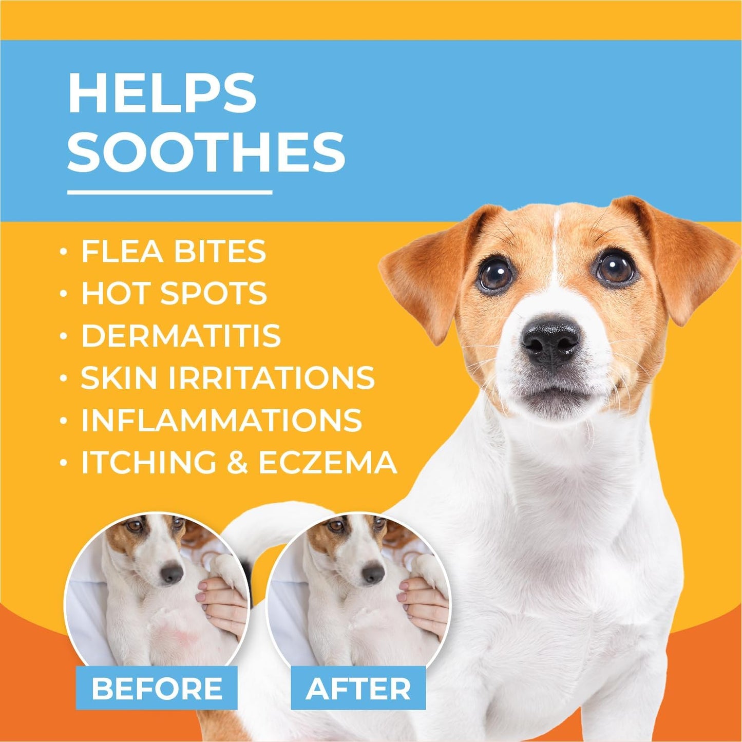 USA imported Paw Science hydrocortisone lotion for pet allergy relief