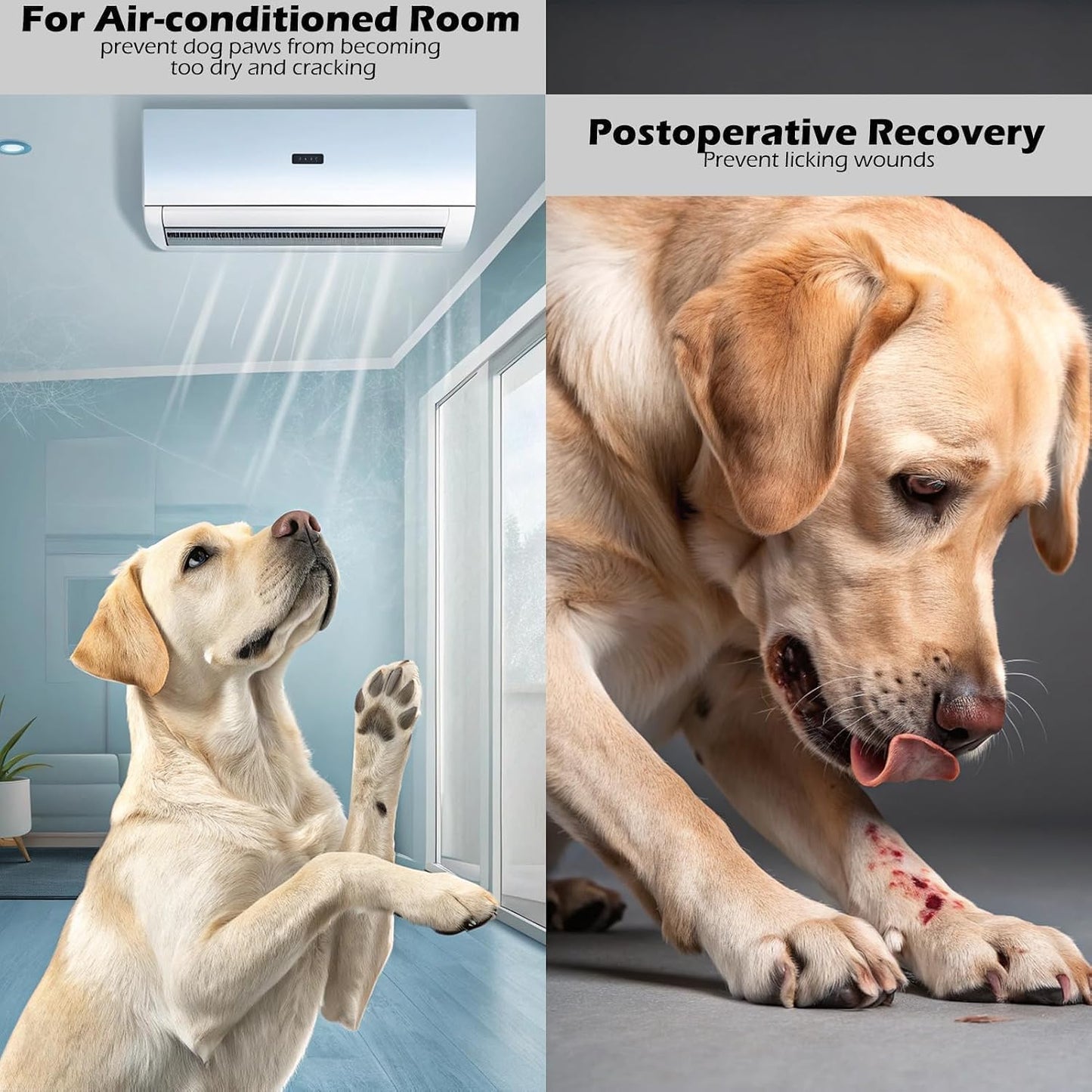 Dog walking comfortably in Expawlorer anti-slip footwear