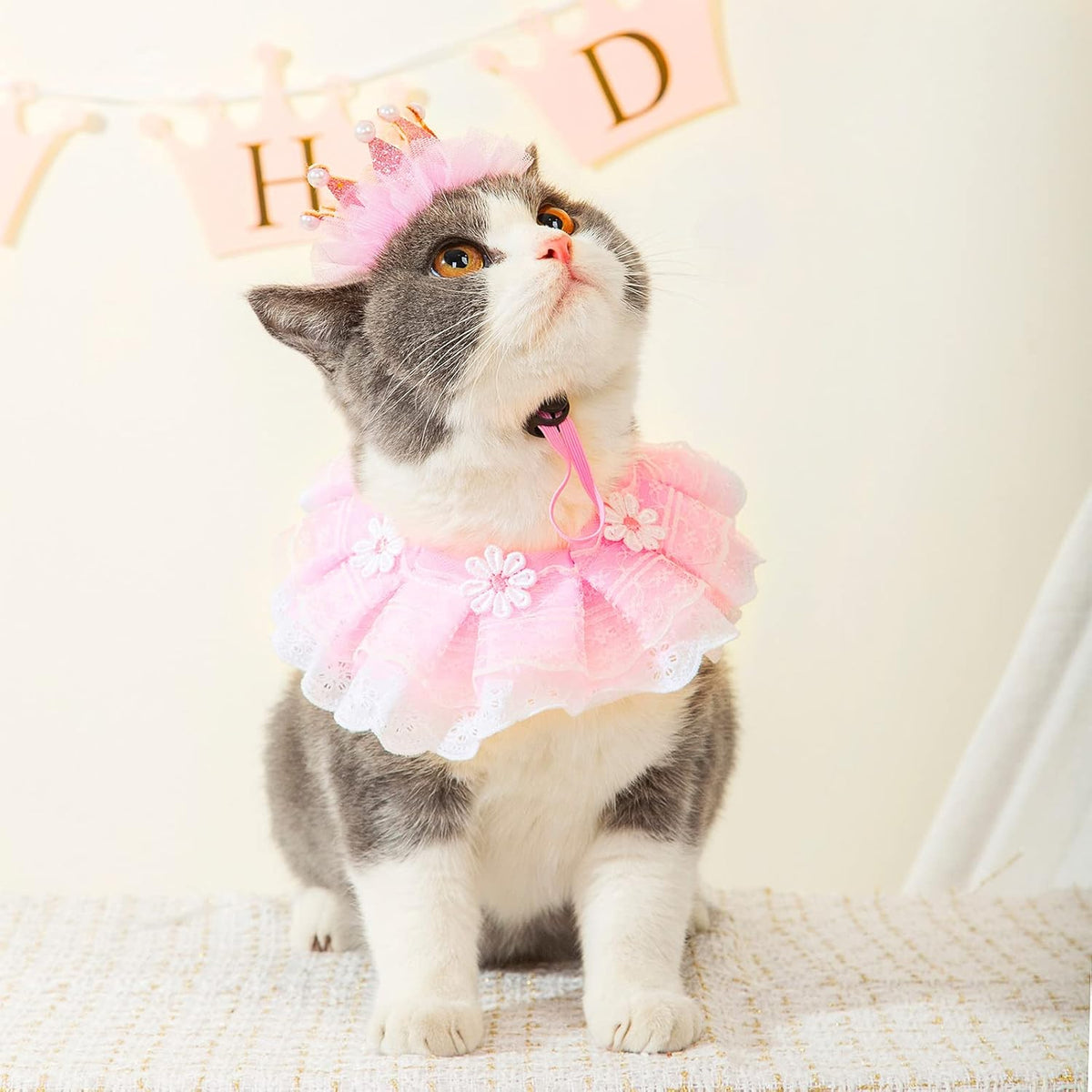 Close up of cat crown hat with pearls and soft fabric