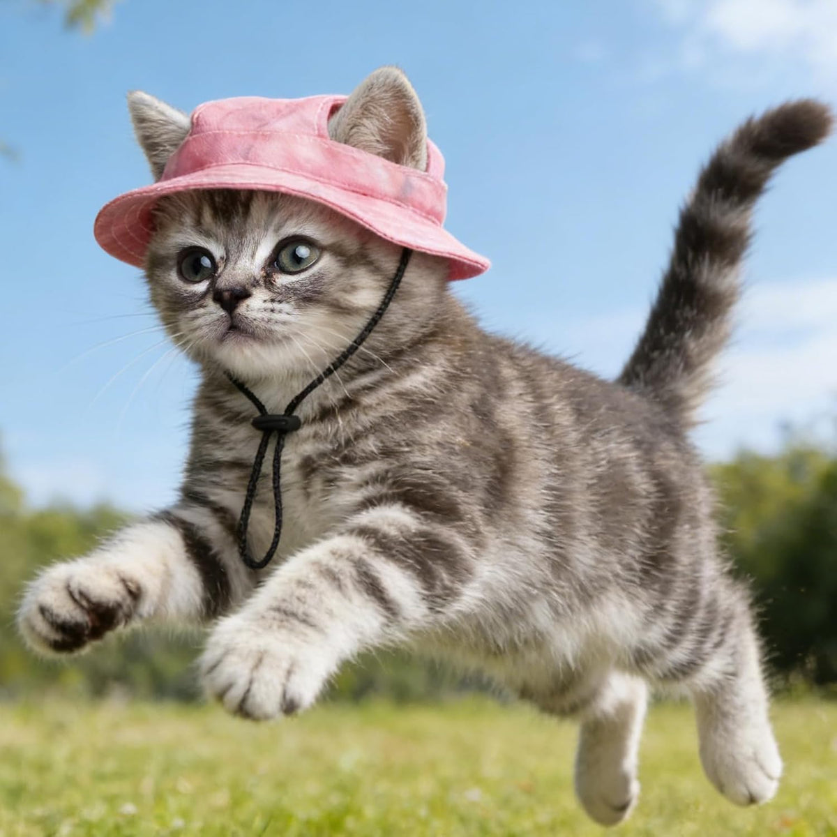 Top view of pink Sdfvsdg sunscreen hat for pets