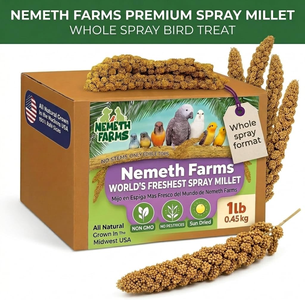 Healthy bird enrichment millet snack
