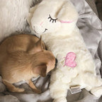 All For Paws puppy behavioral aid heartbeat accessory