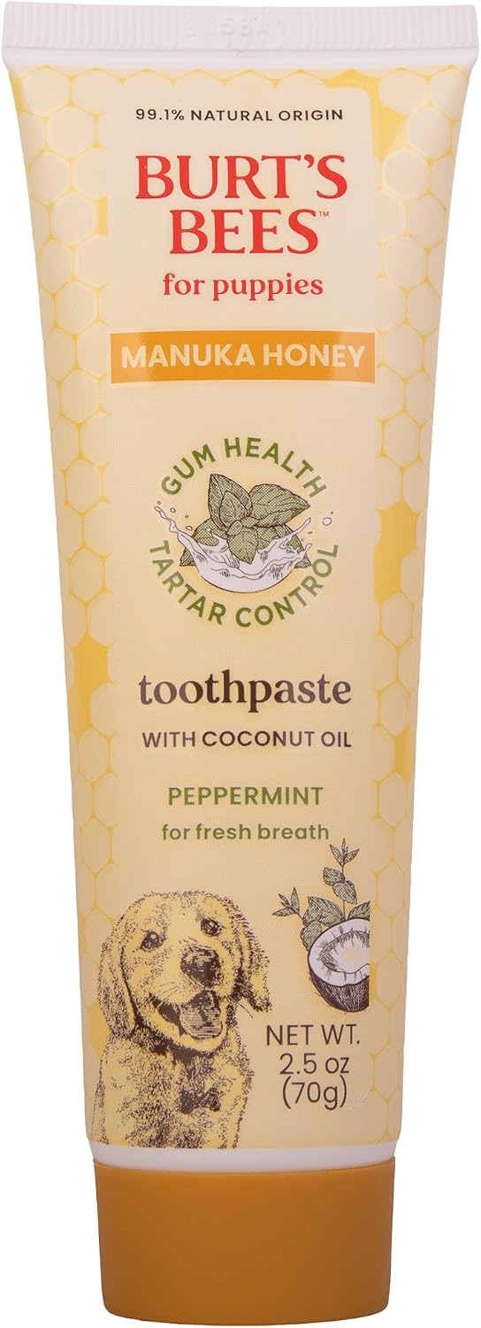 Natural puppy toothpaste with Manuka honey and coconut oil for dog dental care