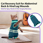 Cat wearing green recovery suit side profile