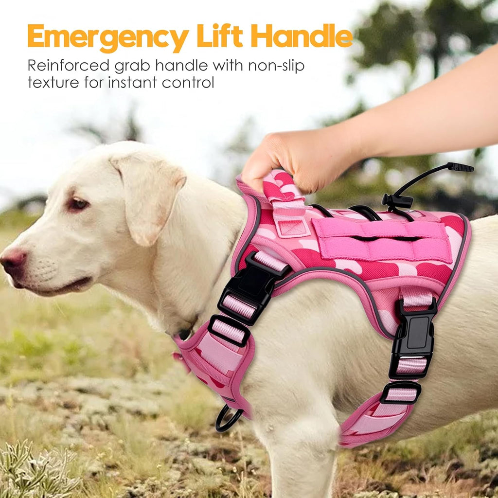Premium imported Bruvoalon tactical dog harness worn by a medium size breed outdoors