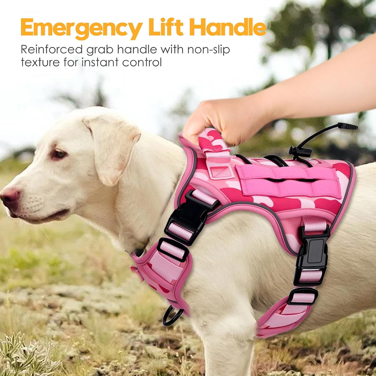 Premium imported Bruvoalon tactical dog harness worn by a medium size breed outdoors
