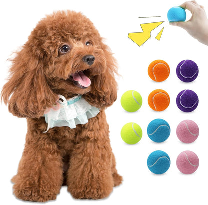 Magicorange 10 pack squeaky mini tennis balls front view