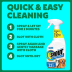 Shout Pet Stain Remover application on upholstery