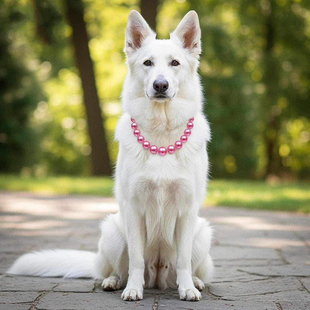 Large breed female dog wearing Ymapinc chunky beaded pink costume collar