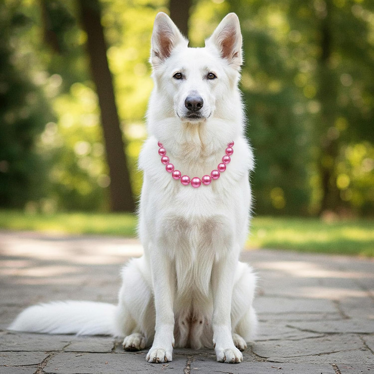 Large breed female dog wearing Ymapinc chunky beaded pink costume collar