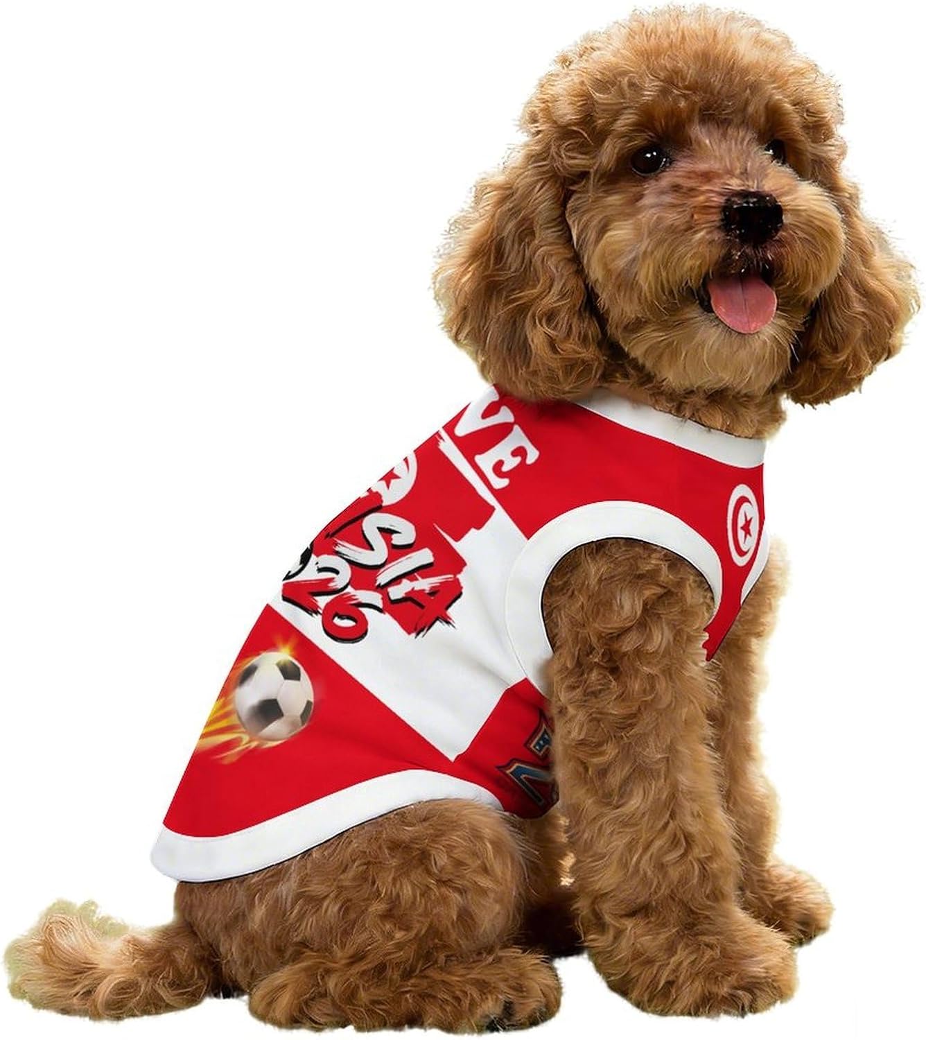 Soccer Cup 2026 Pet Soccer Jersey Mexico Shirt for Dogs Cats Game Day Cooling Sportswear Small - Image 13