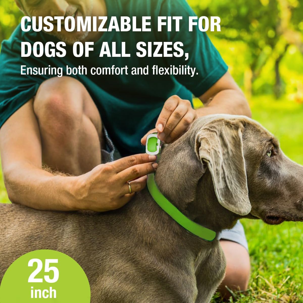 EcoVenger Flea Collars for Dogs & Cats - Flea & Tick Repellent 2-Pack Green. Built-in Pant-Based Formula Strong Repellency Slow Release, Lasting Protection, Pleasant Aroma, Waterproof - Image 7