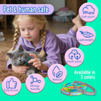 Cat wearing grey Kaden flea and tick collar