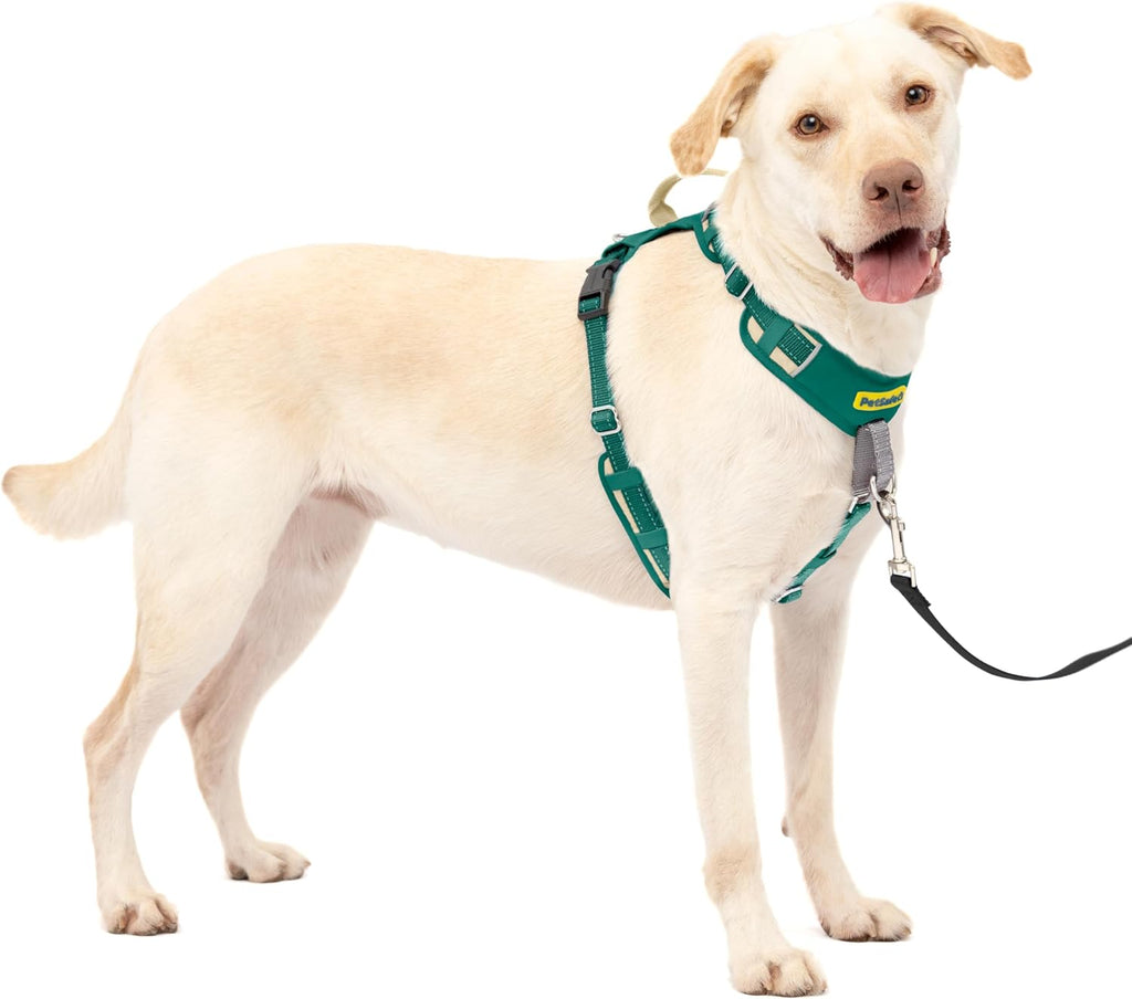 PetSafe Easy Walk Comfort No-Pull Dog Harness Full-Body Padding - Better Walks on the First Use - 5 Points of Adjustment Medium, Blue - Image 10