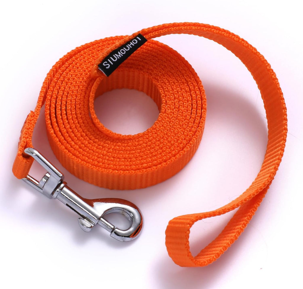 6 FT Puppy Leashes, Strong Traditional Style Leash with Easy to Use Collar Hook,Dog Lead Great for Small and Medium and Large Dog (Rainbow, 5/8 in x 6 ft) - Image 10