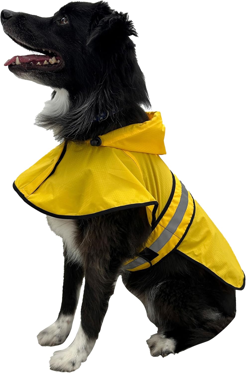 FROGG TOGGS Dogg Toggs Raincoat, Blue, Size LG - Image 9