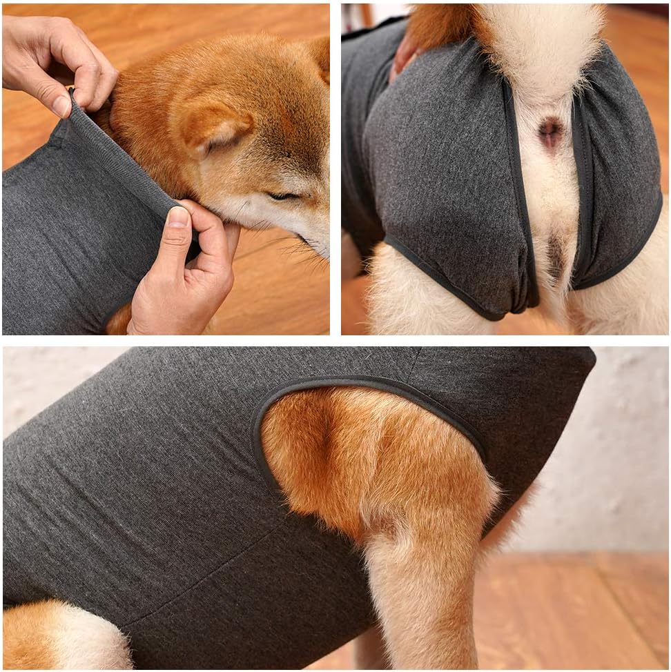 Dotoner dog medical vest showing abdominal coverage for stitches