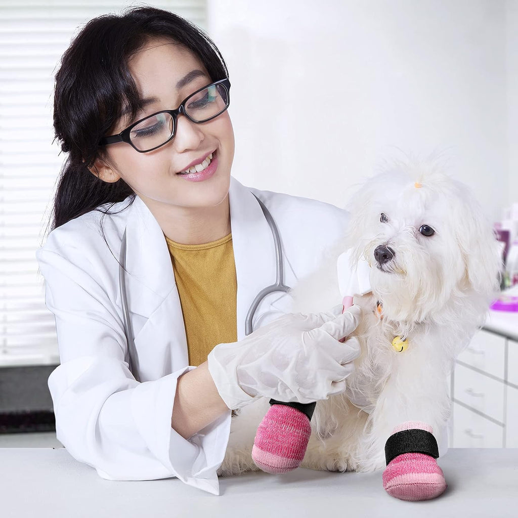 Kitten paw protected by Frienda knit cotton socks