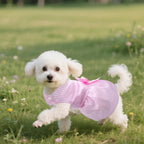 Cute small puppy wearing imported pink princess style holiday outfit.