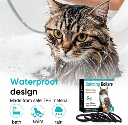Six count pack of pheromone anxiety relief collars for kittens