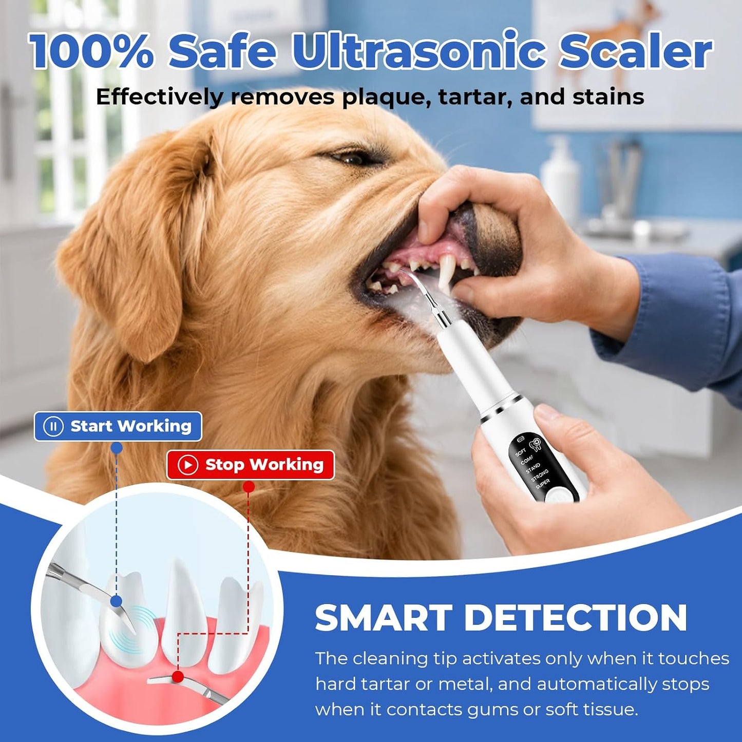 Pawsion dental cleaning device with interchangeable metal heads