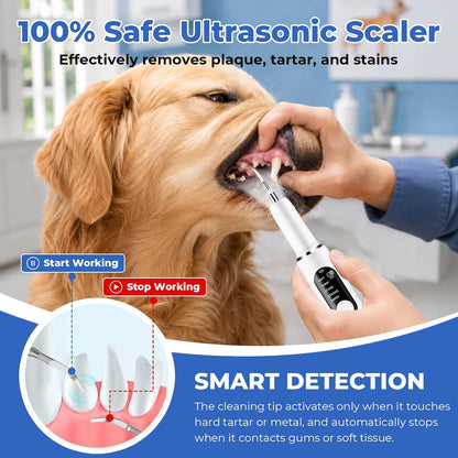 Pawsion dental cleaning device with interchangeable metal heads