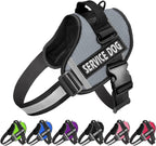 Detailed sizing chart for JSXD nylon dog harness