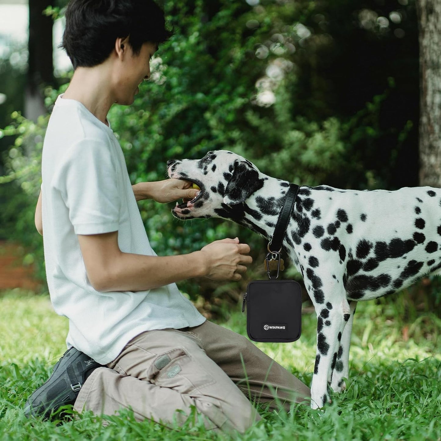 Winpaws all-weather small pet training bag protecting treats during an outdoor rainy day walk.