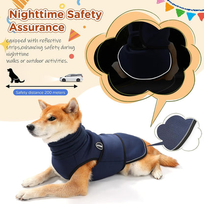 Pet wearing anxiety vest during thunderstorm simulation