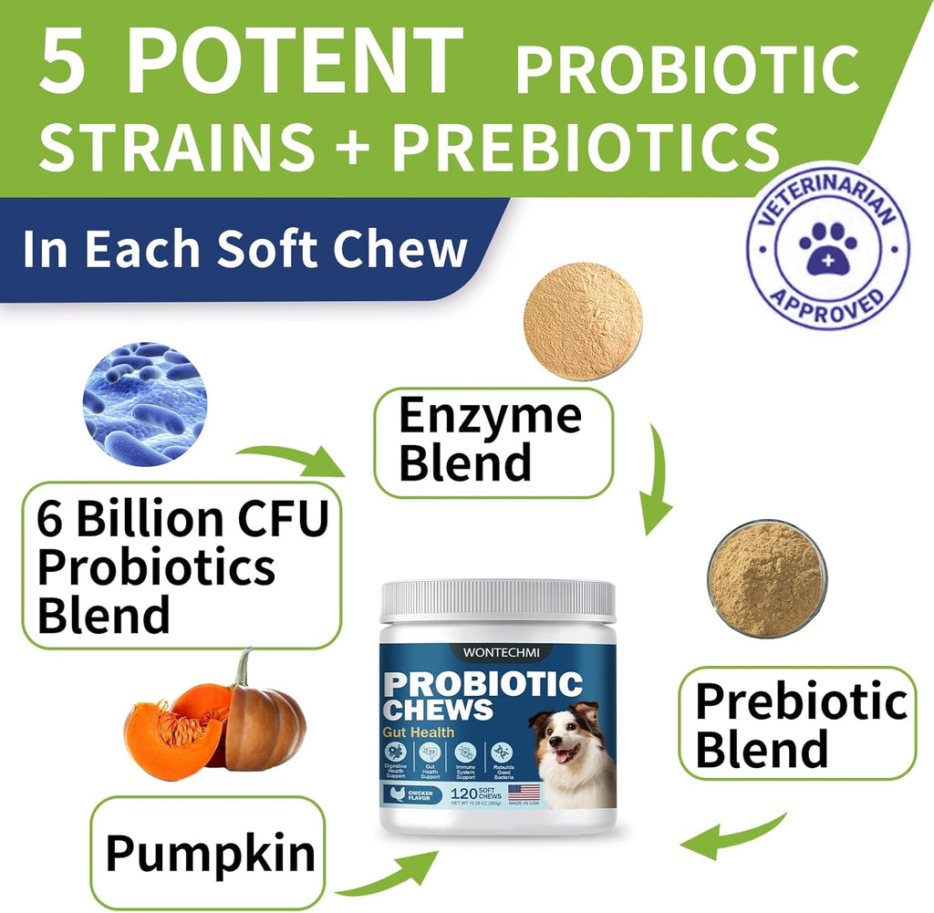Wontechmi canine digestive enzymes for reducing dog diarrhea