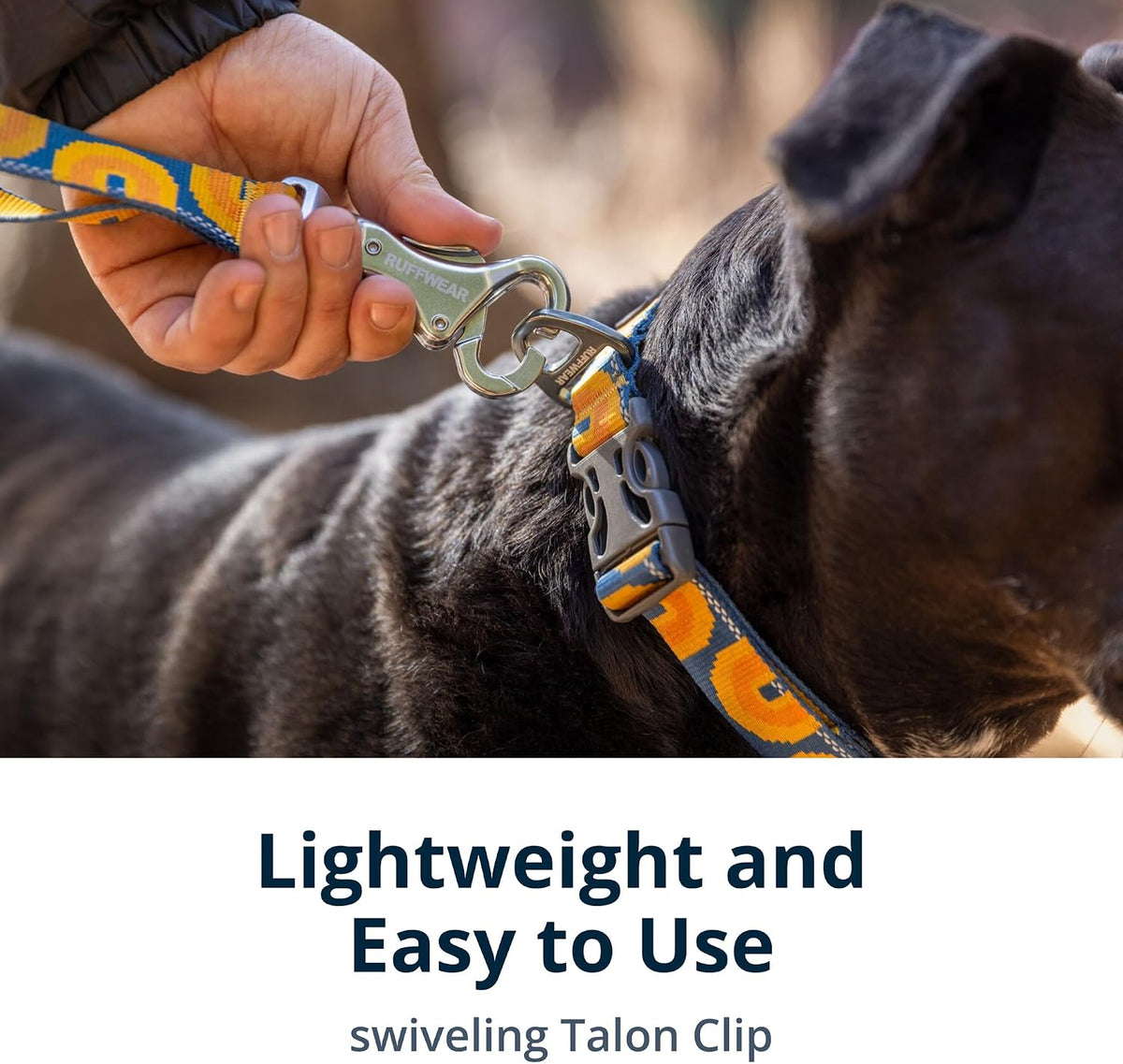 Close control traffic handle function highlighted on the Ruffwear Crag dog leash