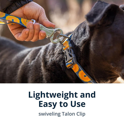Close control traffic handle function highlighted on the Ruffwear Crag dog leash