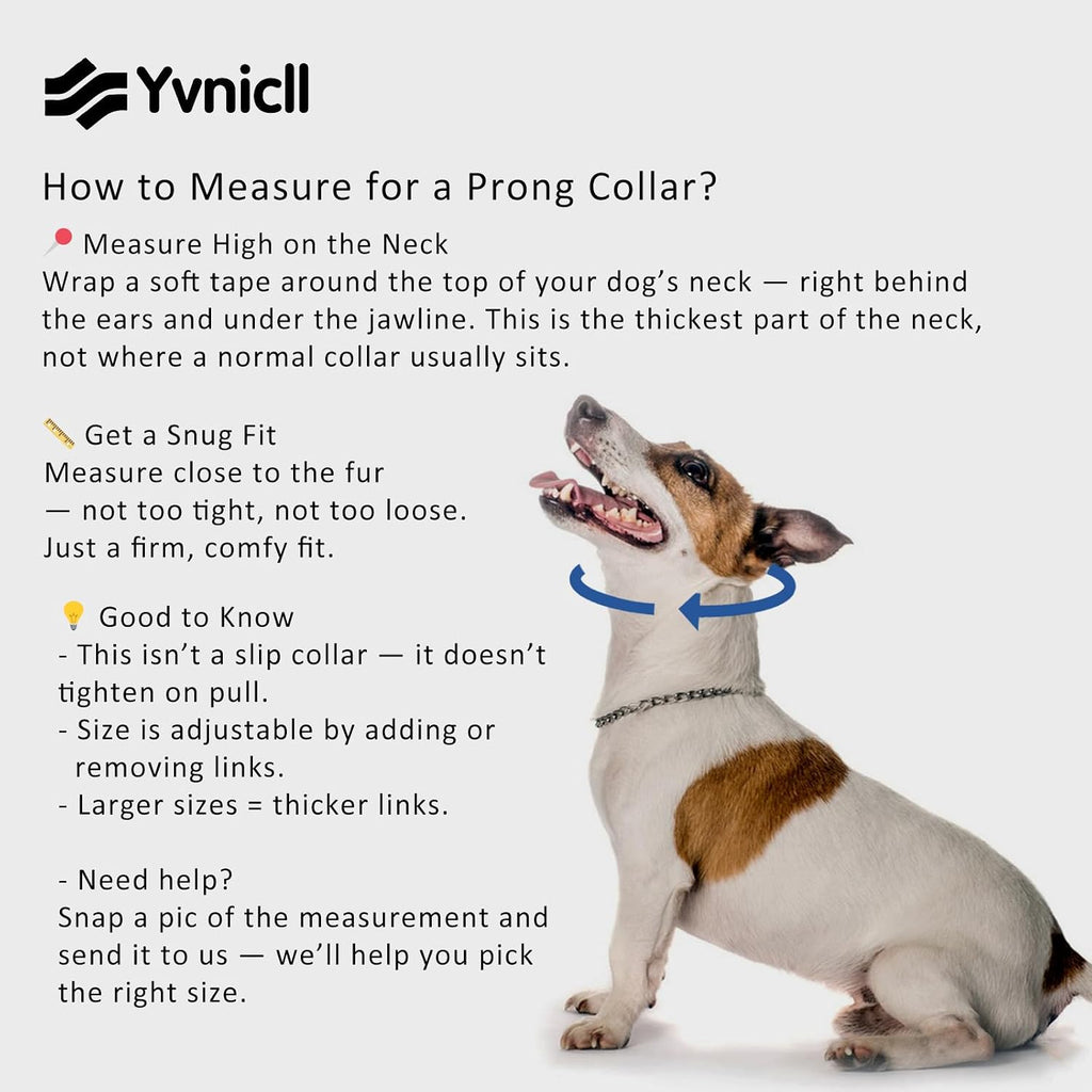 Yvnicll adjustable dog collar with removable links for custom sizing on small breeds