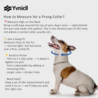Yvnicll adjustable dog collar with removable links for custom sizing on small breeds