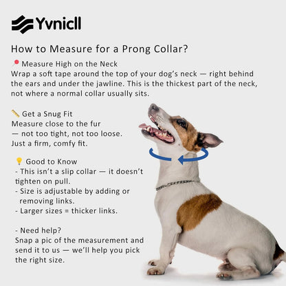Yvnicll adjustable dog collar with removable links for custom sizing on small breeds