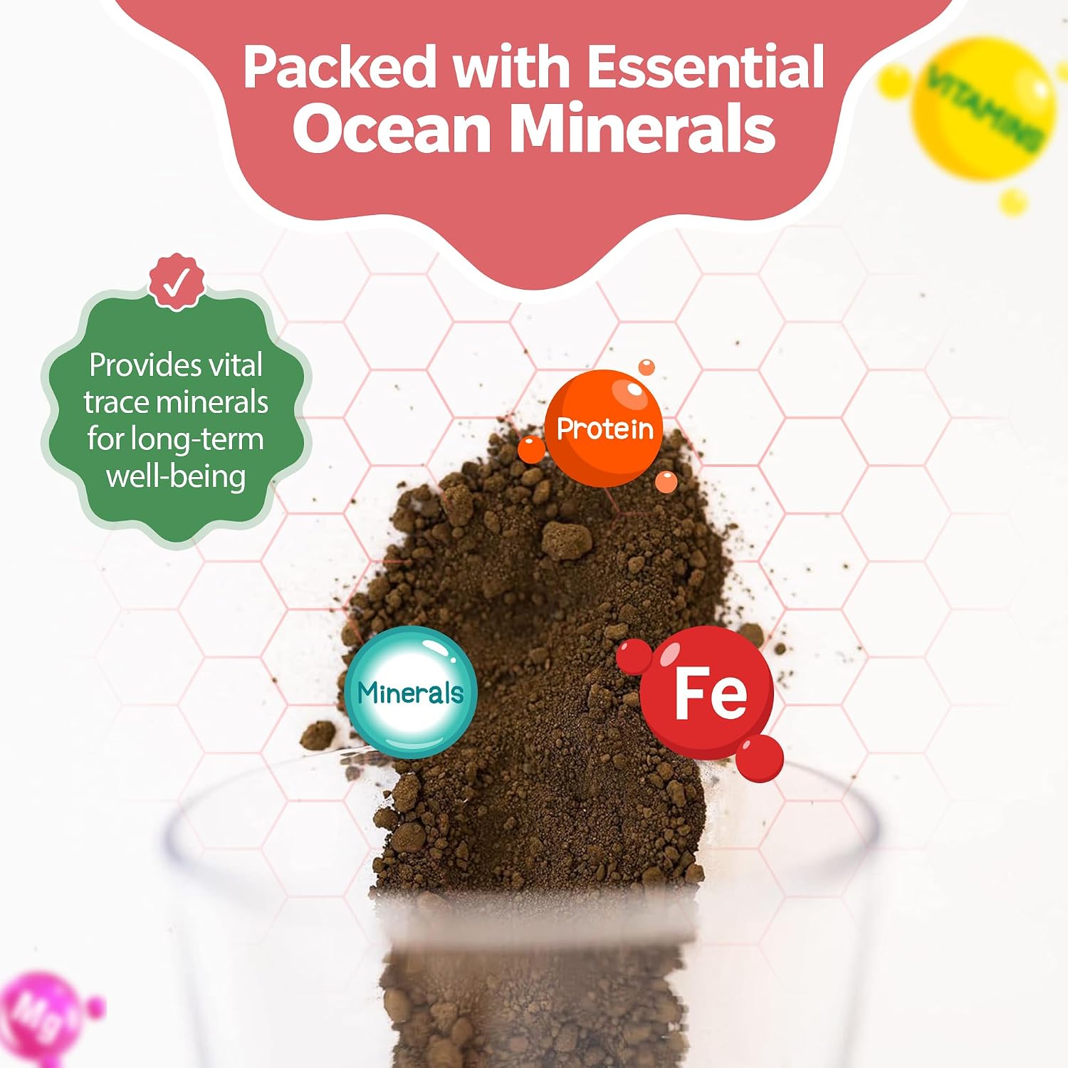 Inert greensand powder in a hermit crab feeding dish
