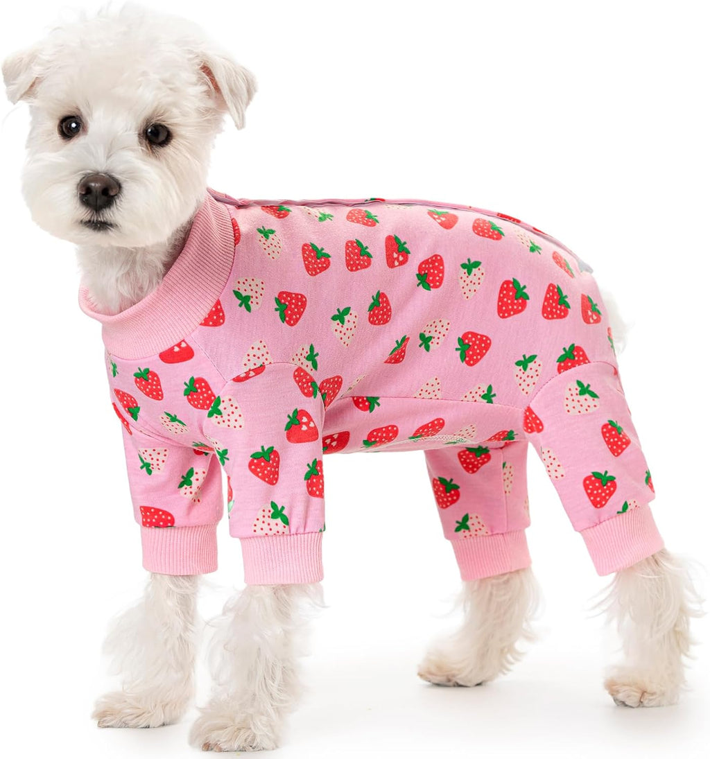 AITOLI spay and neuter recovery apparel side profile view on a dog
