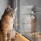 Boxcasa cat sympathy gift displayed on a living room shelf