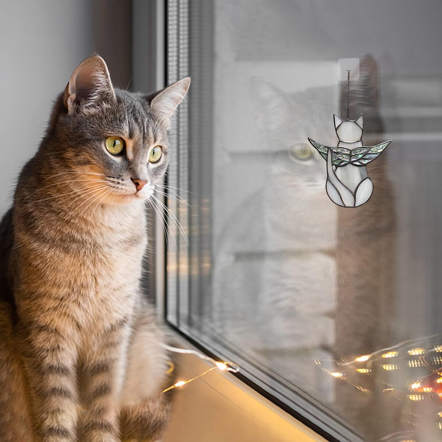 Boxcasa cat sympathy gift displayed on a living room shelf