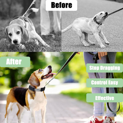 Steel chain dog training collar with nylon cover