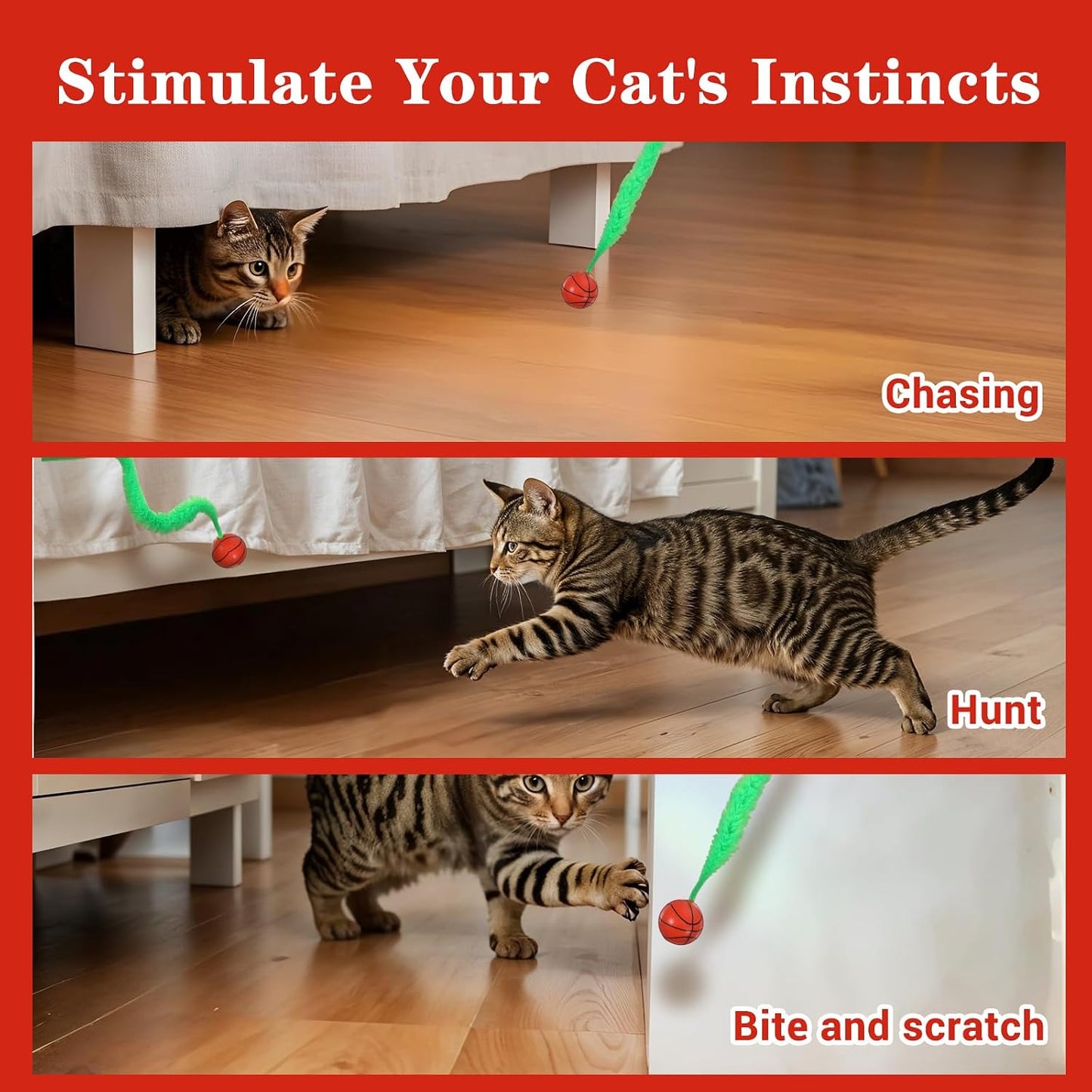 Cat chasing interactive bouncy ball toy