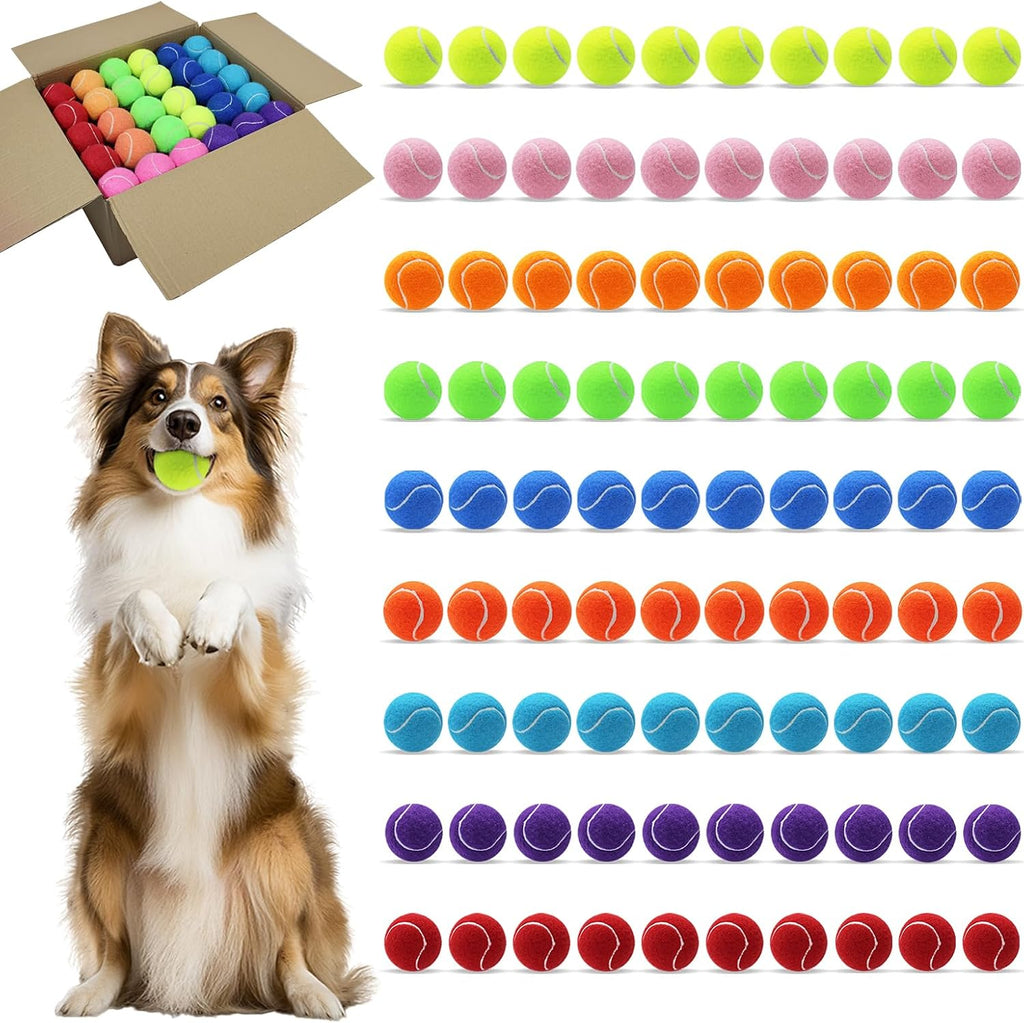 Magicorange Dog Balls, Tennis Balls for Dogs,Colorful Easy Catching Pet Playing Ball (Multicolor, 4 Pack) - Image 9