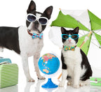 Sixteen pieces of detachable pet collar charms with flamingo and pineapple prints.