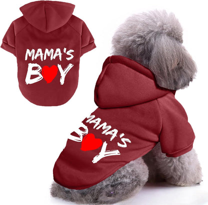 Cayxatiu imported pet apparel displaying close up of the hood and comfortable stitching.