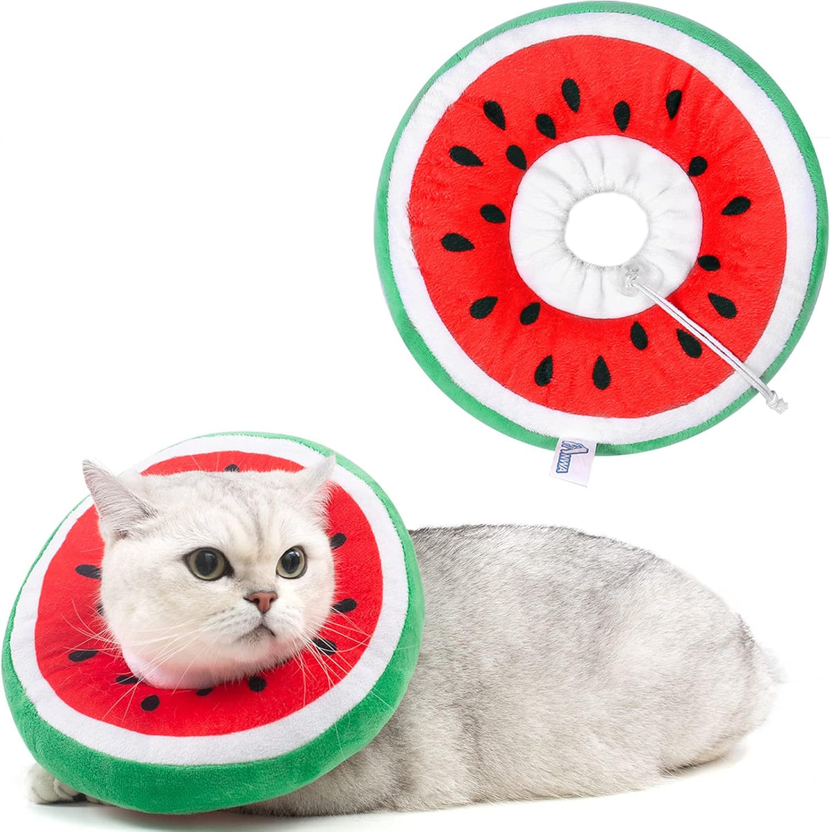 Medium size cat wearing the orange fruit pattern recovery collar