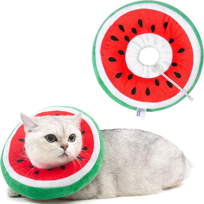ANWA protective donut e-collar for kitten post surgery recovery.