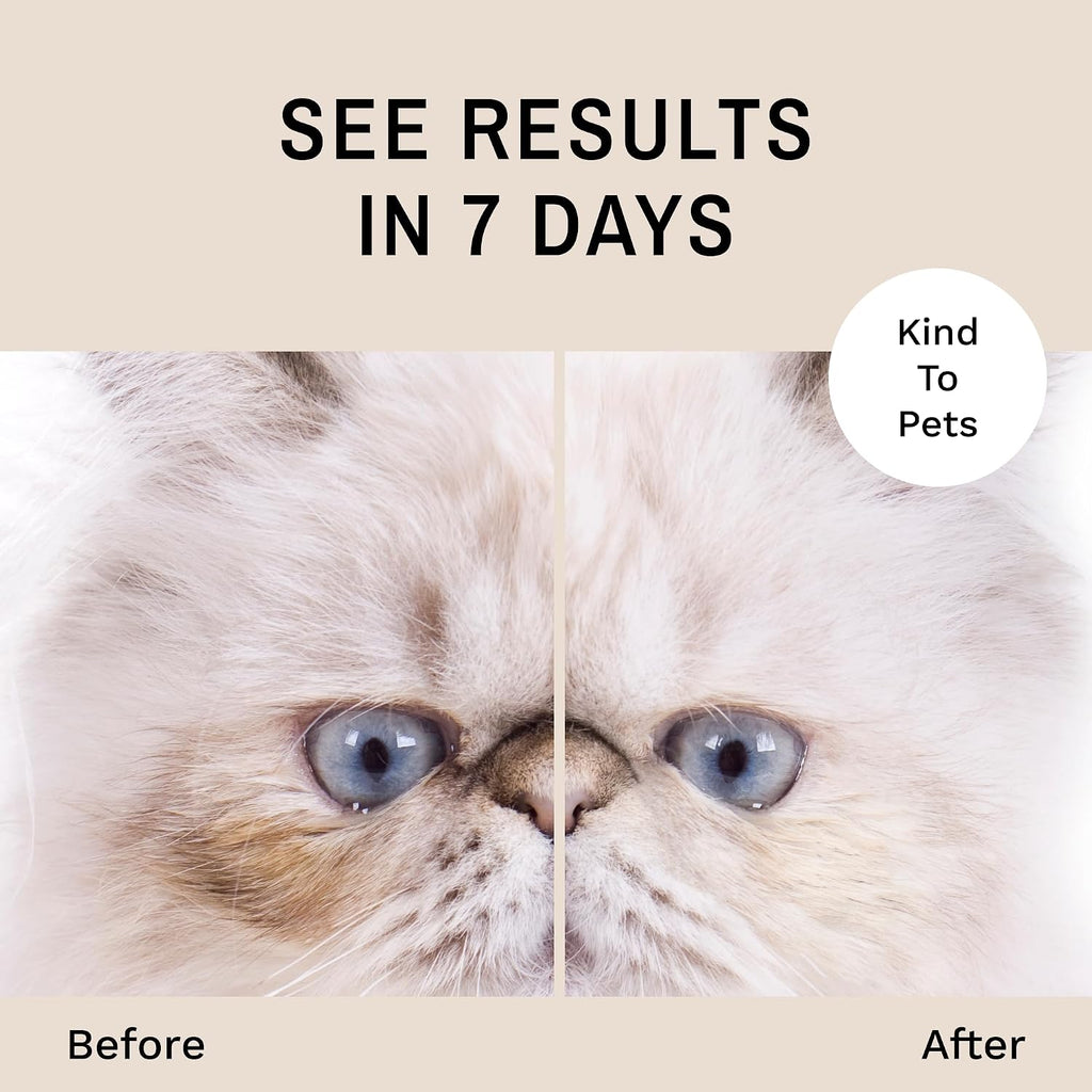 Natural tear stain remover for white and light colored cats close up
